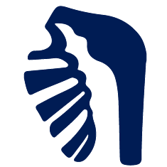 Shoulder Replacement